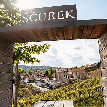 Posestvo Scurek Wine Bed & Breakfast Dobrovo Exterior photo