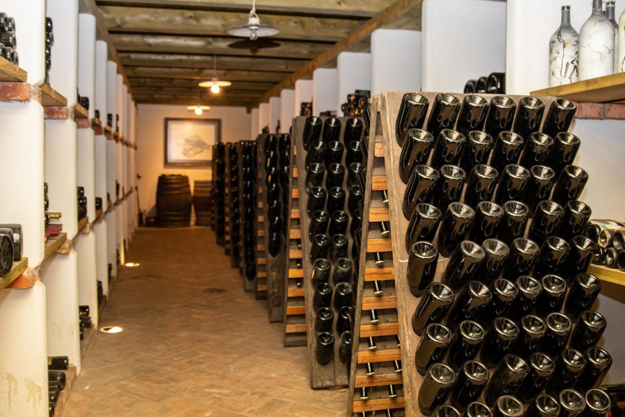 Posestvo Scurek Wine Bed & Breakfast Dobrovo Exterior photo