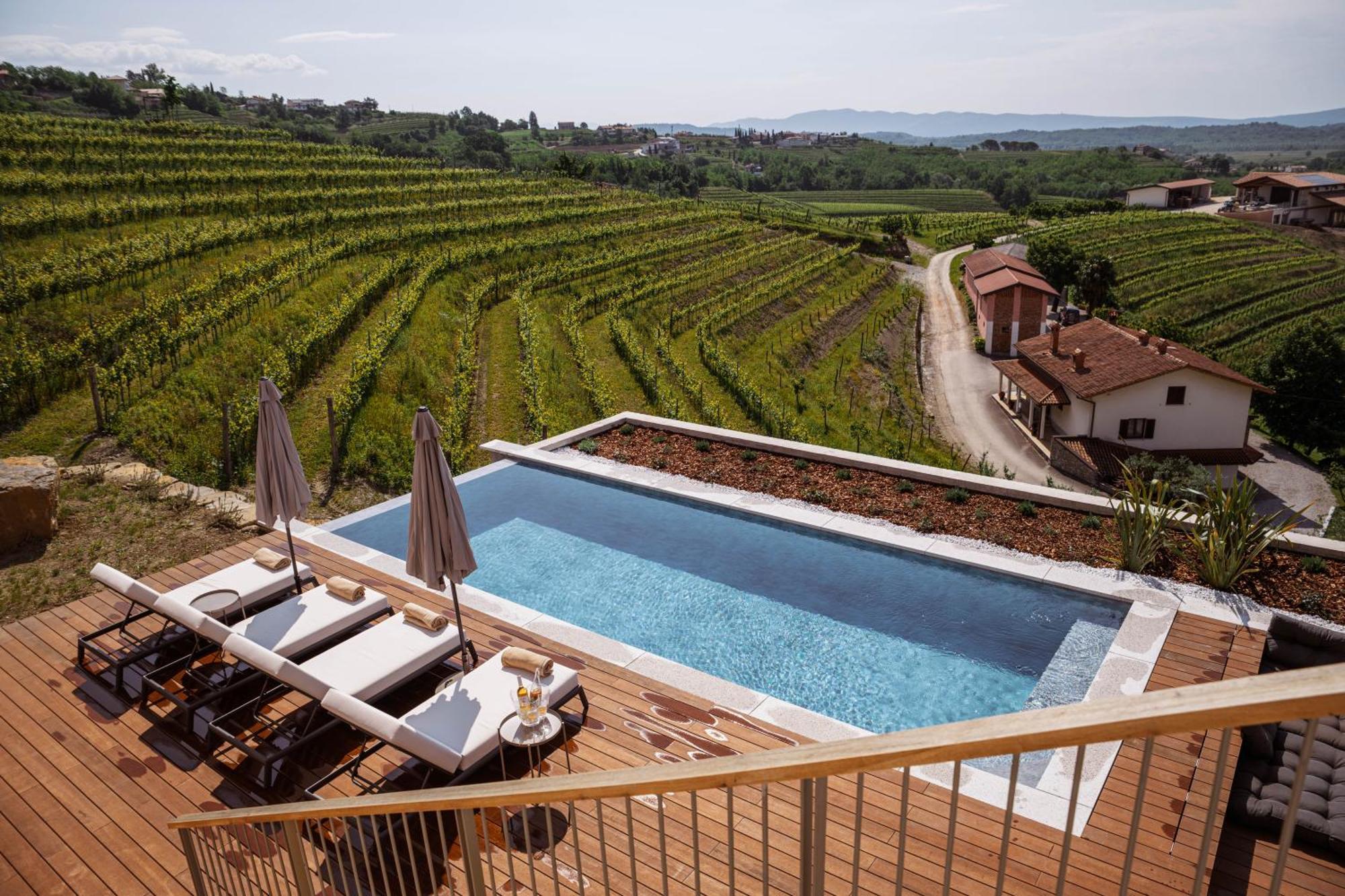 Posestvo Scurek Wine Bed & Breakfast Dobrovo Exterior photo