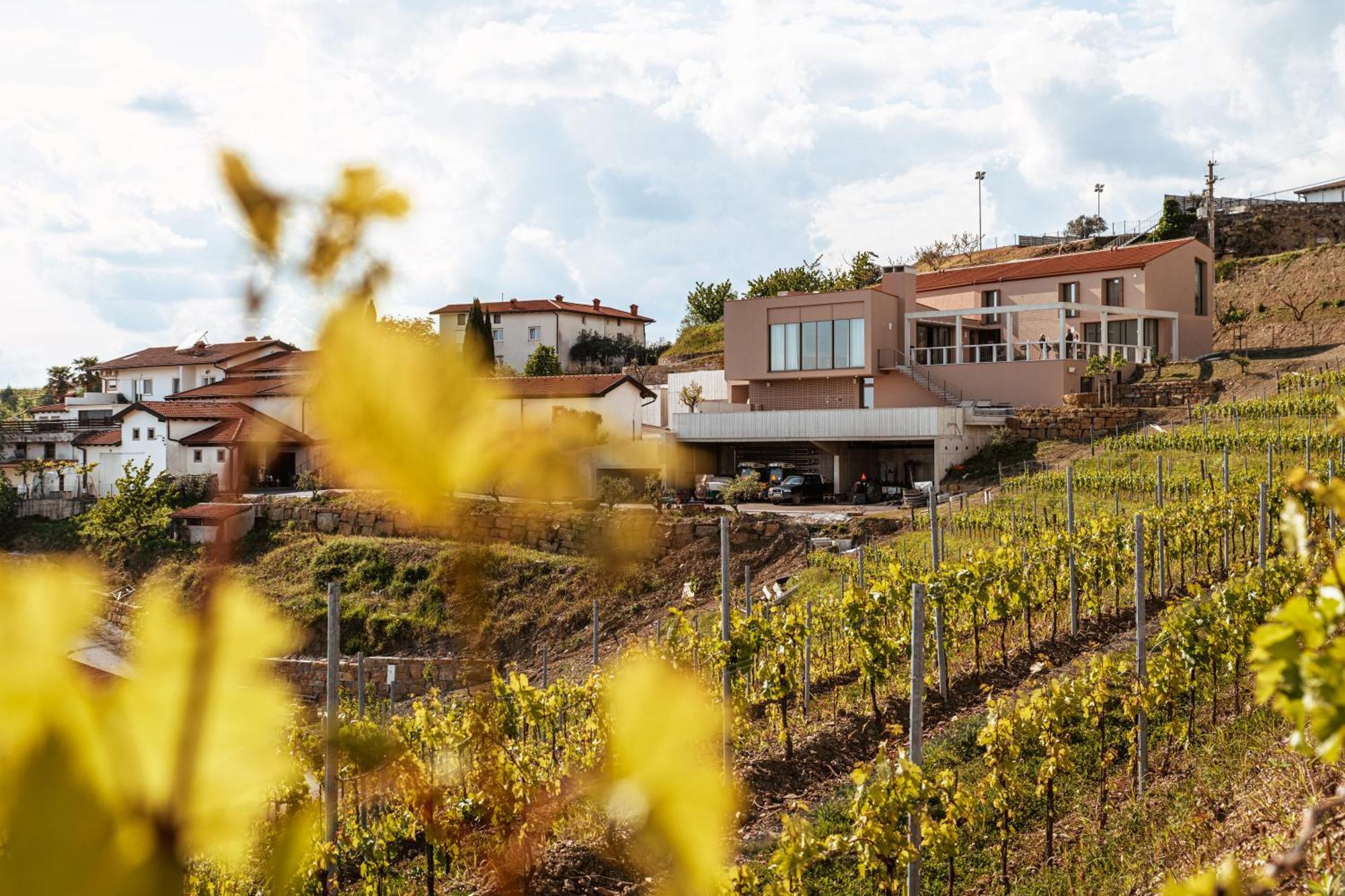 Posestvo Scurek Wine Bed & Breakfast Dobrovo Exterior photo