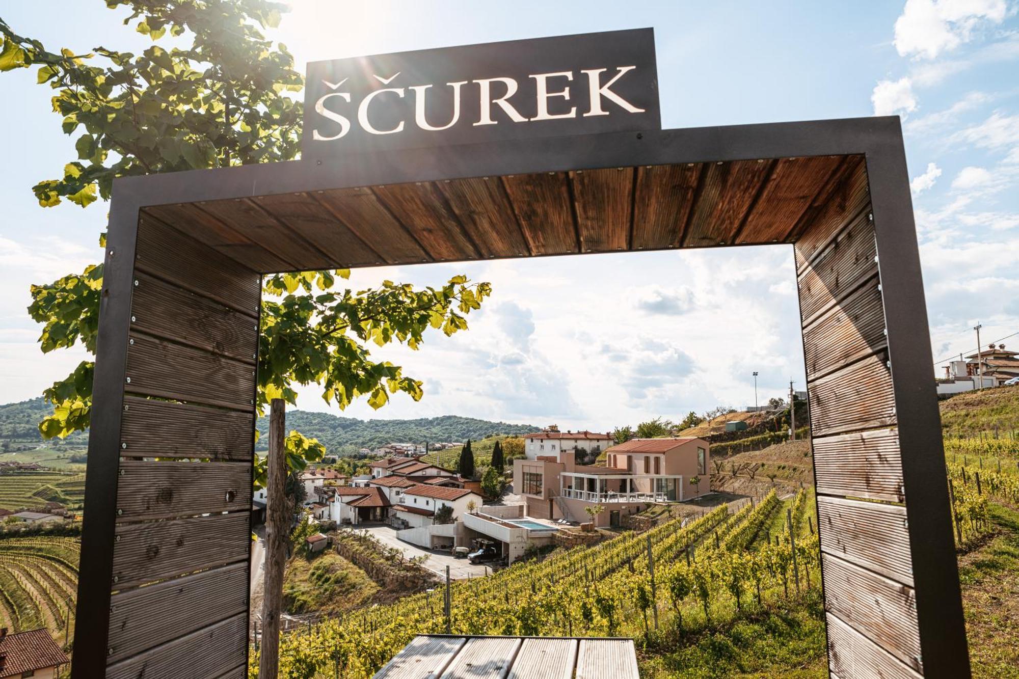 Posestvo Scurek Wine Bed & Breakfast Dobrovo Exterior photo