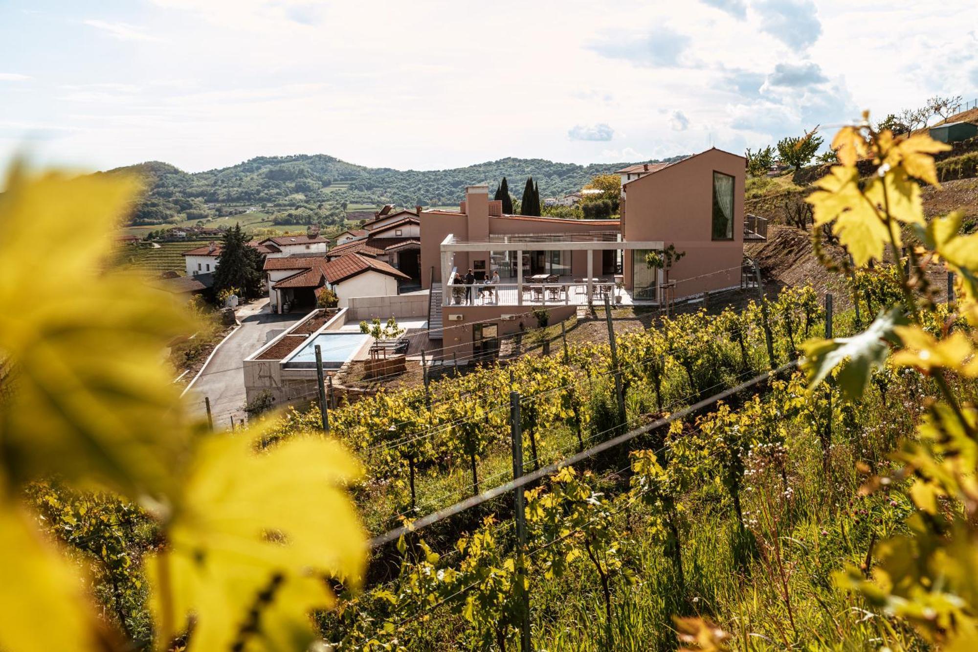 Posestvo Scurek Wine Bed & Breakfast Dobrovo Exterior photo